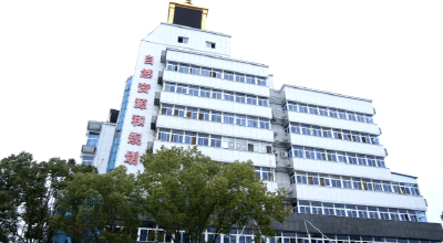 红安靶向治“顽疾” 安居有“证”更安心