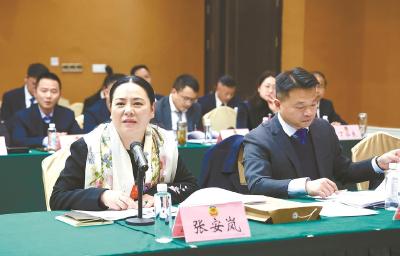 市政协委员分组学习讨论市委书记李军杰讲话 审议市政协“两个报告”