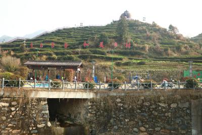 英山茶叶谷：茶旅融合绘就乡村振兴新图景