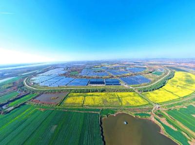 黄州三产融合筑牢都市圈“菜篮子”基石