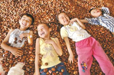 青山作证 绿富同行 ——黄冈林业“十四五”高质量发展综述