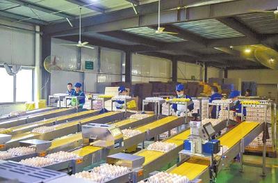 党建领航强产业 国企担当促振兴 ——浠水国创投资集团有限公司（浠水国投集团）赋能县域高质量发展的实践探索