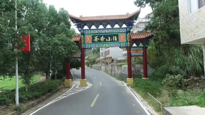 五年巨变！这个深山小村，凭啥拿下十几项荣誉？