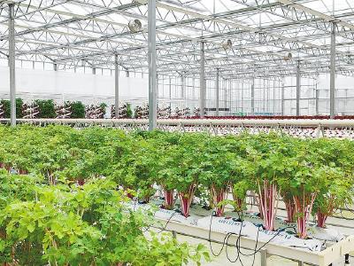 村里资产上网拍  黄冈农交中心盘活20亿“沉睡资源”