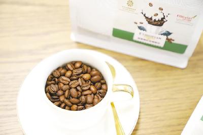 以机场速度保鲜香醇厚  “花湖咖啡” 飘出埃塞俄比亚高原的风