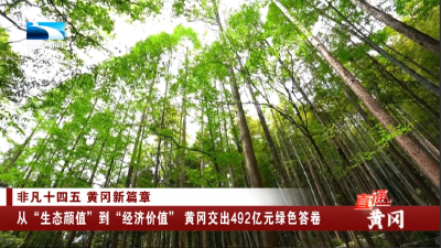 湖北卫视《直通黄冈》丨非凡十四五 黄冈新篇章②