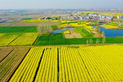 我国将稳步推进第二轮土地延包整省试点
