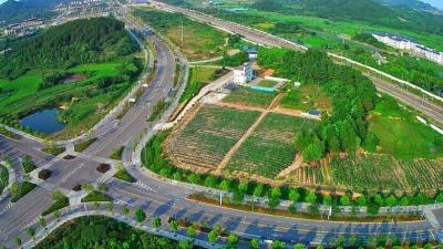 黄梅乡村振兴“十四五”交出富民强村答卷