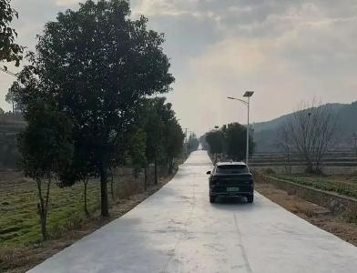 春节前通车！双城驿村3000米柏油路解锁“致富加速度”