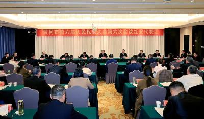 视频丨李军杰参加红安、黄州代表团审议