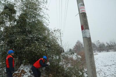 踏雪巡线 保电护航——国网蕲春县供电公司漕河供电所全力守护电网安全