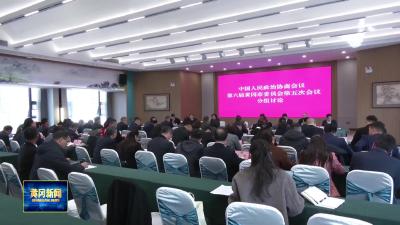 洪再林参加民进、农工党、共青团、 总工会、社会福利和社会保障 界别委员分组讨论