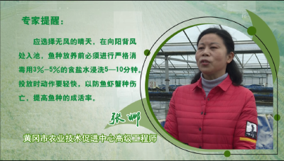 科技之光点亮渔家“灯火” ——湖北省“三区”科技人才张娜典型事迹