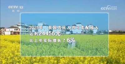 未来十年，中国农村的现代化将如何实现？