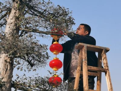 我市交通运输部门多举措护航旅客平安便捷出行