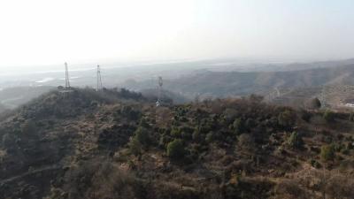 浠水茶花谷即将盛放 邀您共赴花海之约原创