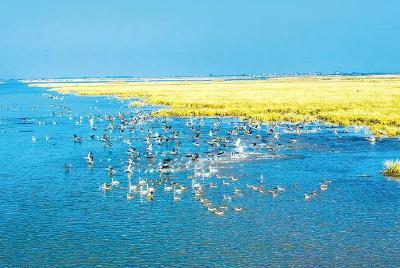 湖北国家重要湿地数量全国第一