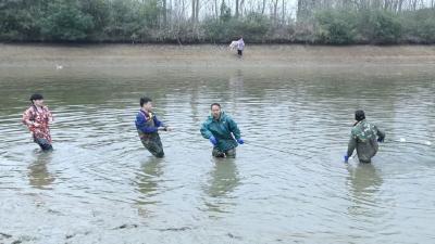 新春走基层丨六百年龙舟“划”出共富年景：一池鱼，暖一村人