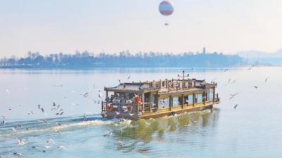 排队一小时只为争赏鸥影翩翩——新春，到武汉来看鸥