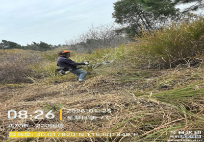 武穴市：全力推进重点区域林相改造  夯实生态与防火双重保障