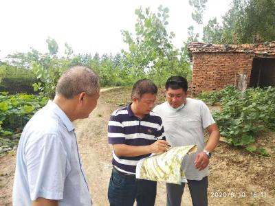 黄州区外岭村党总支书记吴劲松：用生命诠释“为民”“实干”的党员本色