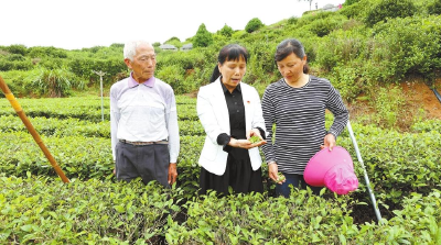 鲜明导向识英才——“十四五”黄冈以正确用人导向引领干事创业导向赋能高质量发展综述