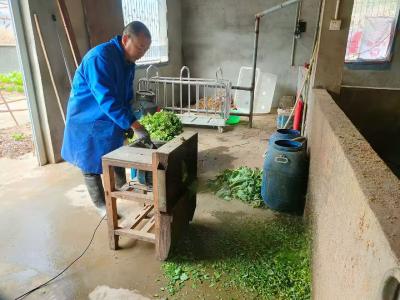 鄂皖中轴线的创业坚守——大别山“驿道猪倌”上演新“融圈”故事