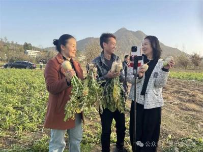 从“IT工程师”变身“乡村运营官”  他把代码写进家乡山水里