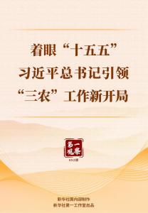 着眼“十五五”，习近平总书记引领“三农”工作新开局