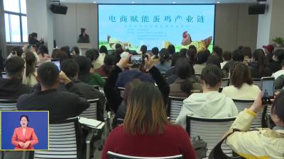 黄冈发布｜ “蛋生新链 我也来发布”浠水县蛋鸡产业发展专场新闻发布会举行