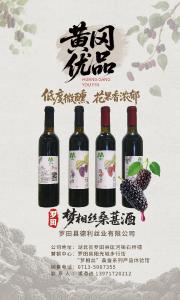 黄冈优品丨梦相丝桑葚酒