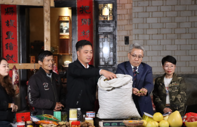  一屏通山海 云端富山乡——燕儿谷云集市点亮黄冈山货出山新春图景