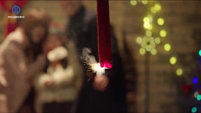 归来，便是年（Homecoming Is the New Year）.mp4