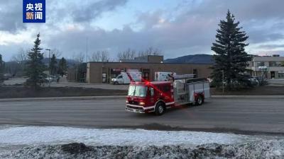 央视新闻 | 新闻来了〔2026.02.12〕