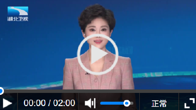 乐在湖北 “马”上有喜丨老字号出新招 年货消费“碰”出新温度