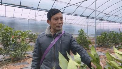 扎根40年！这位“土专家”甜了乡亲，富了一方