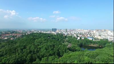 黄州新闻20260214