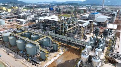 我市以招商机制创新激活老区高质量发展新动能