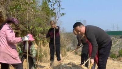 蕲春：厚植绿色底色 绘就生态富民新画卷