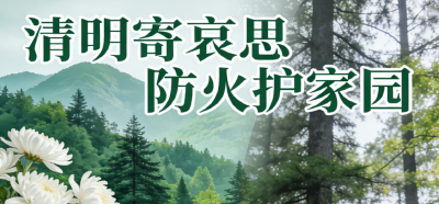 清明寄哀思 防火护家园