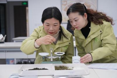 实施“走出去”战略 20名茶产业骨干人才在中茶所参训