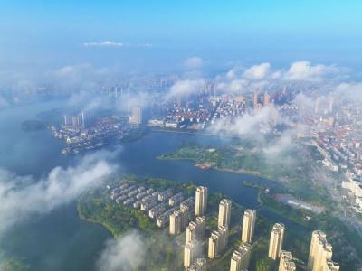 黄州这盘“数字棋”，52家企业创138亿营收