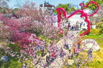 樱约荆楚迎四海 支点建设春潮起 湖北三大主题活动邀全球赏樱