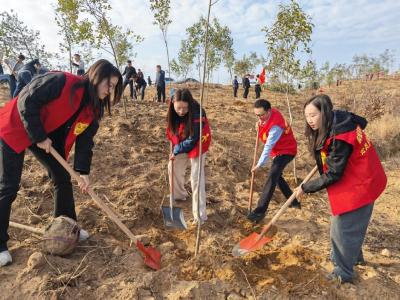 植此青绿 共“树”未来——麻城市财政局团委积极参加义务植树活动