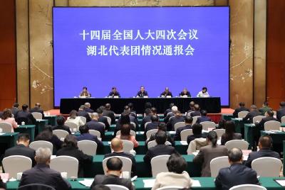 十四届全国人大四次会议湖北代表团召开行前情况通报会