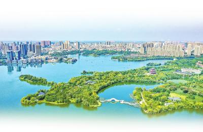 春天里的回响 大别山的强音