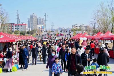 黄冈市区第二届江滩油菜花季浪漫开启
