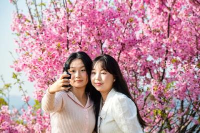 自豪！黄冈把“山水画卷”搬上央媒