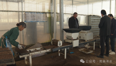 万象“耕”新！12家育秧工厂火力全开～