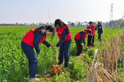 植绿护绿践初心 接力守绿启新程
